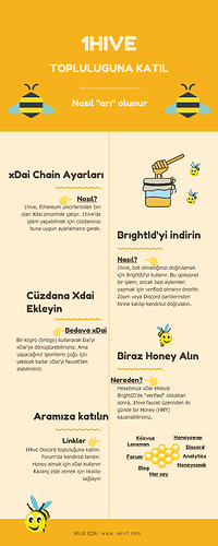 1Hive_Infographic - Turkish